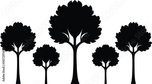 Beautiful Beech Tree Set Isolated Silhouette Vector Illustration Natural Forest Elements Collection
