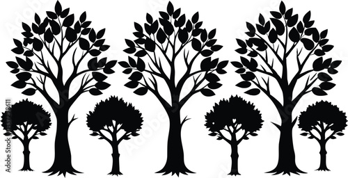 Beautiful Beech Tree Set Isolated Silhouette Vector Illustration Natural Forest Elements Collection