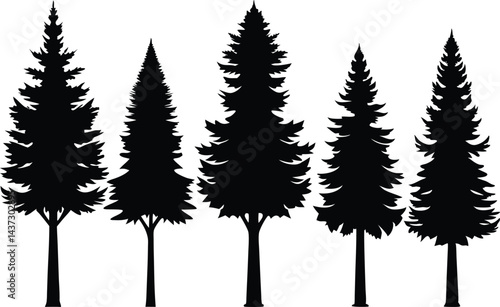 Beautiful Cedar Trees Isolated Silhouette Vector Art Natural Forest Landscape Elements Design