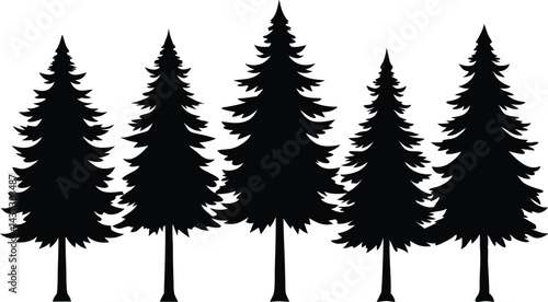 Beautiful Cedar Trees Isolated Silhouette Vector Art Natural Forest Landscape Elements Design