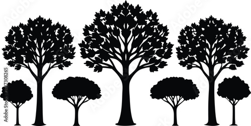 Beautiful Elm Trees Isolated Silhouette Vector Art Elegant Forest Landscape Elements Design