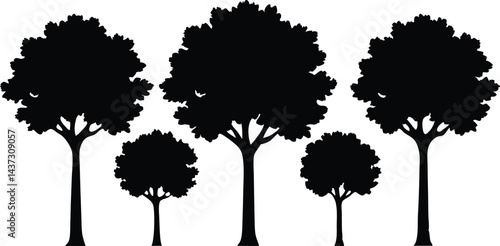 Beautiful Elm Trees Isolated Silhouette Vector Art Elegant Forest Landscape Elements Design