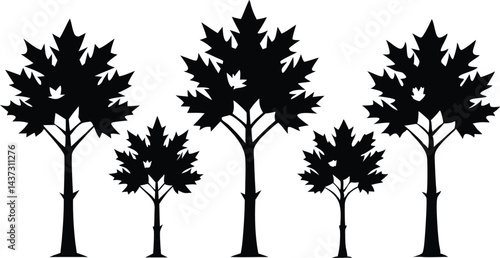 Beautiful Maple Trees Isolated Silhouette Vector Art Natural Forest Elements and Landscape Design