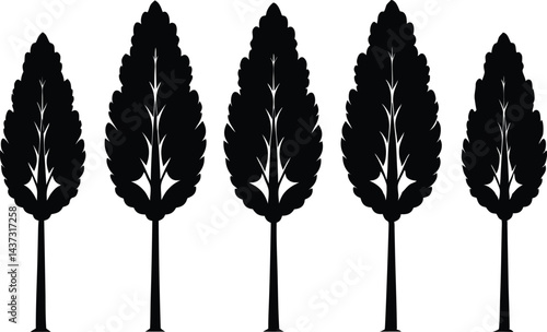 Beautiful Poplar Trees Isolated Silhouette Vector Art Elegant Forest Elements and Nature Design