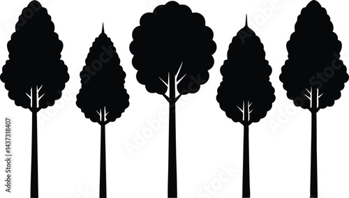 Beautiful Poplar Trees Isolated Silhouette Vector Art Elegant Forest Elements and Nature Design