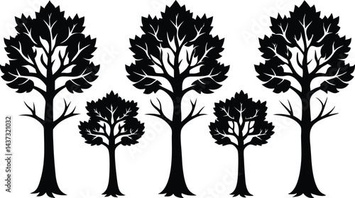 Beautiful Sycamore Trees Isolated Silhouette Vector Art Elegant Forest Landscape Design Elements