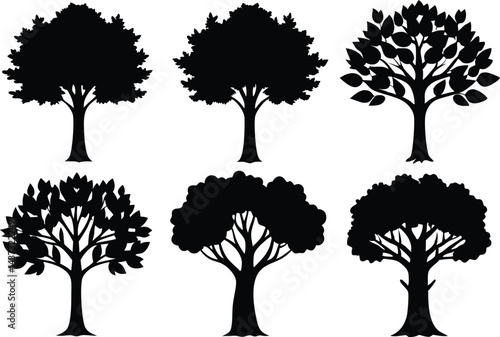 Beautiful Sycamore Trees Isolated Silhouette Vector Art Elegant Forest Landscape Design Elements