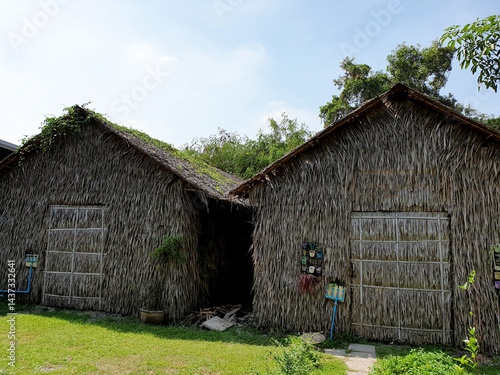 Front view of phoenix mushroom house made by thatched