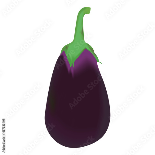   Brinjal Vegetable vector art