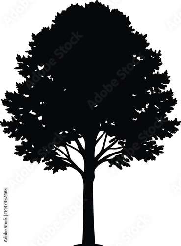 Poplar Tree Isolated Silhouette Vector Art Elegant Forest Element with Natural Landscape Design