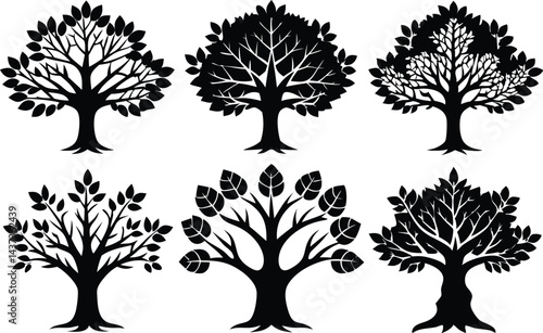Beautiful Ash Tree Set Isolated Silhouette Vector Illustration Natural Forest Elements Collection Art