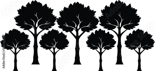 Beautiful Ash Tree Set Isolated Silhouette Vector Illustration Natural Forest Elements Collection Art