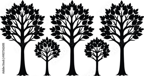 Beautiful Ash Tree Set Isolated Silhouette Vector Illustration Natural Forest Elements Collection Art