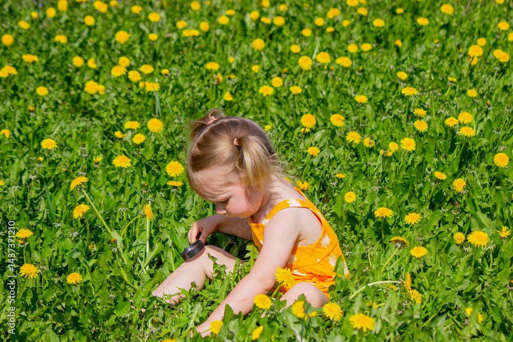 a little girl looks through a magnifying glass in a meadow of dandelions a little girl looks through a magnifying glass in a meadow of dandelions