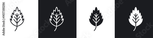 Birch leaf icon sign and symbol vector design