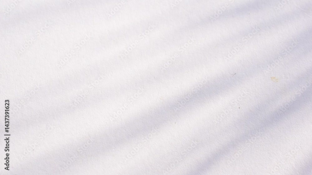 White background with sunlight shadow White background with sunlight shadow