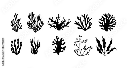 seaweed and coral silhouette vector colllection