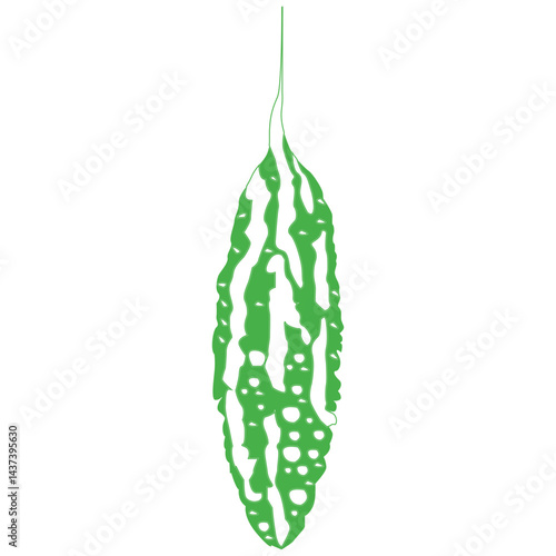  A Grade Green Bitter Gourd Karola vector