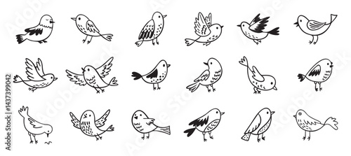 Bird doodle set. Birds hand drawn collection. Cute hand drawn bird doodles. Black on white drawing