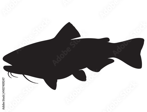 CATFISH SILHOUETTE WHITE BACKGROUND