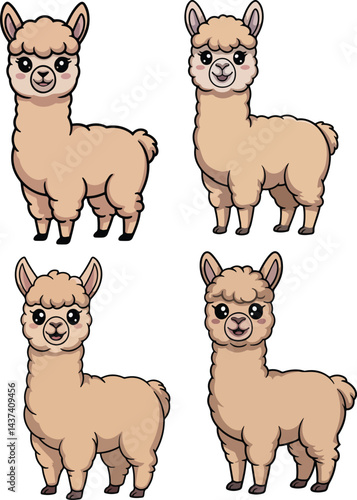 Alpaca Vector vector illustration