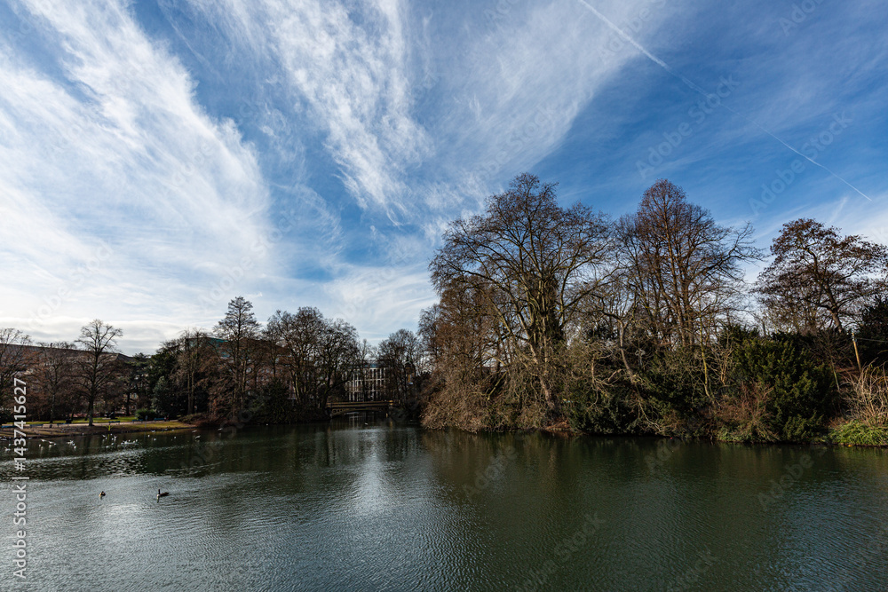Trees, lake and interesing sky in park