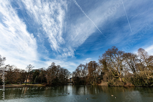 Trees, lake and interesing sky in park