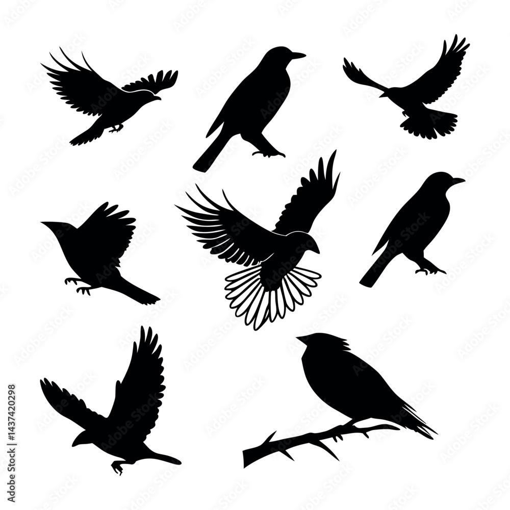 Set of Minimalist Black Bird Silhouettes in Various Poses Set of Minimalist Black Bird Silhouettes in Various Poses