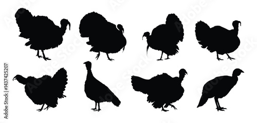 turkey silhouette set. turkey isolated farm animal silhouette icon vector collection