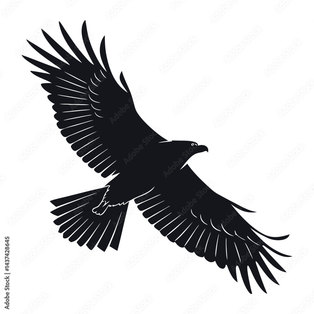 Obraz premium Black Bird Silhouette in Flight