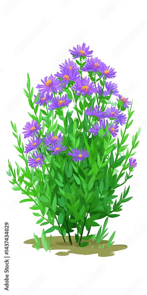 Fototapeta premium Purple flowers with green leaves on a white background