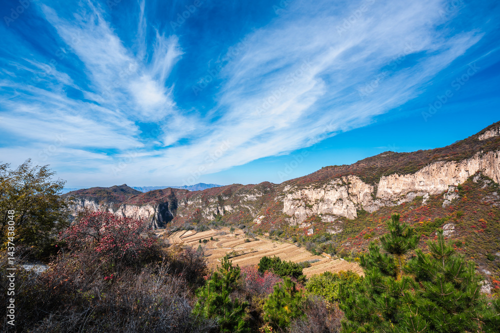 Fototapeta premium Autumnal Mountain Valley Landscape with Clear Sky