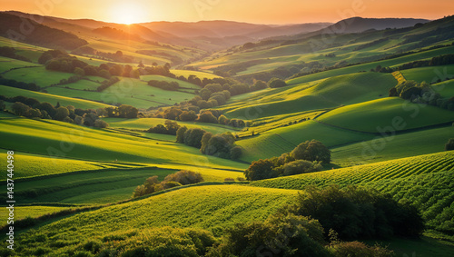 Golden sunset illuminating rolling green hills and farmland