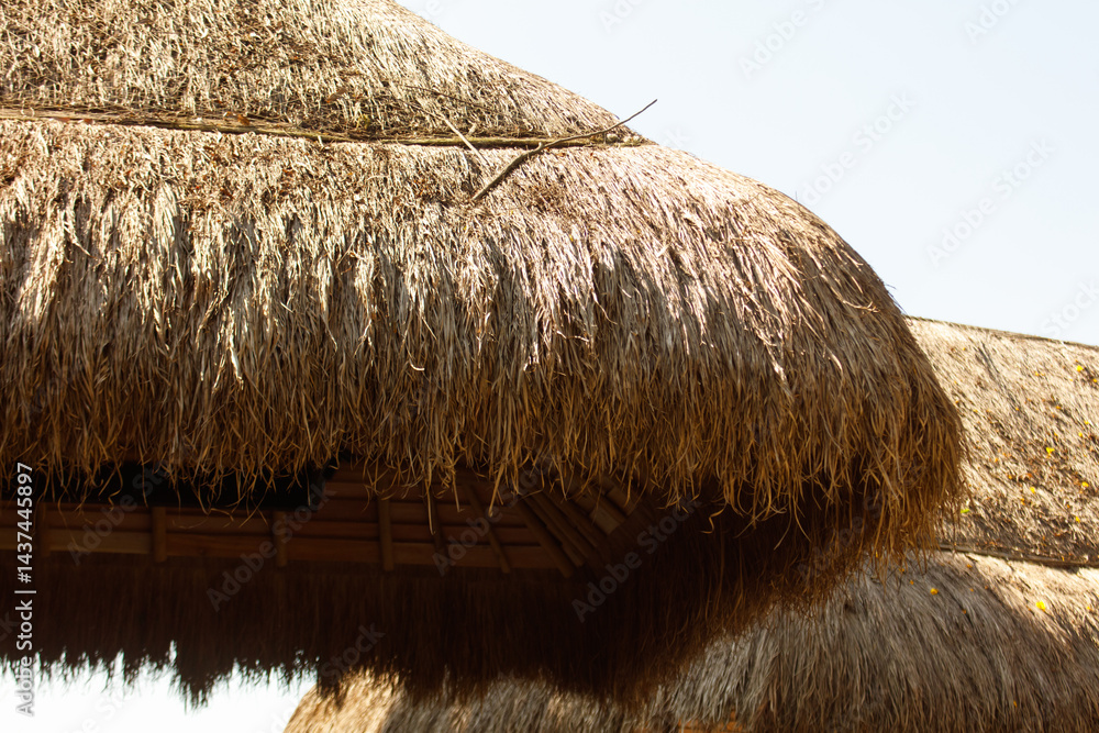 Fototapeta premium The roof of a building is covered in straw