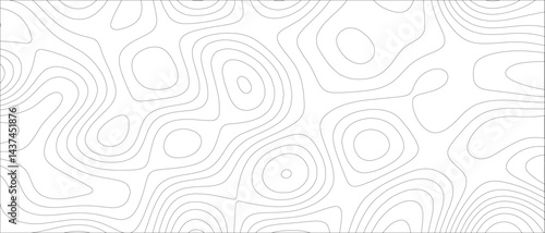 Abstract undulate gray wave swirl. frequency soundwave. Contour maps vector illustration Topo contour map. Wave Topography and geography map grid  & topographic map background concept