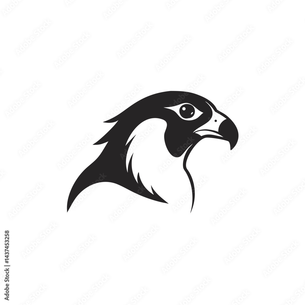 Obraz premium Falcon head profile