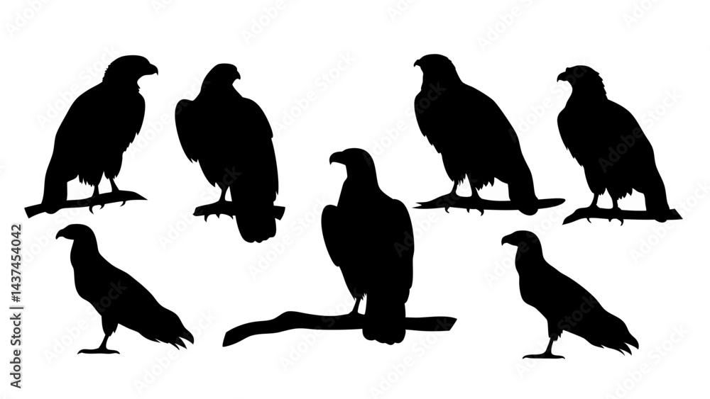 set of eagle silhouette vector on tranparent background set of eagle silhouette vector on tranparent background