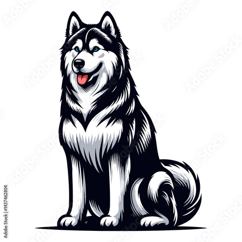 siberian husky vector and illustrations isolated on white background.