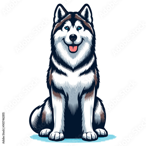 siberian husky vector and illustrations isolated on white background.