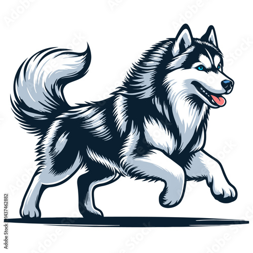 siberian husky vector and illustrations isolated on white background.