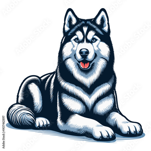 siberian husky vector and illustrations isolated on white background.