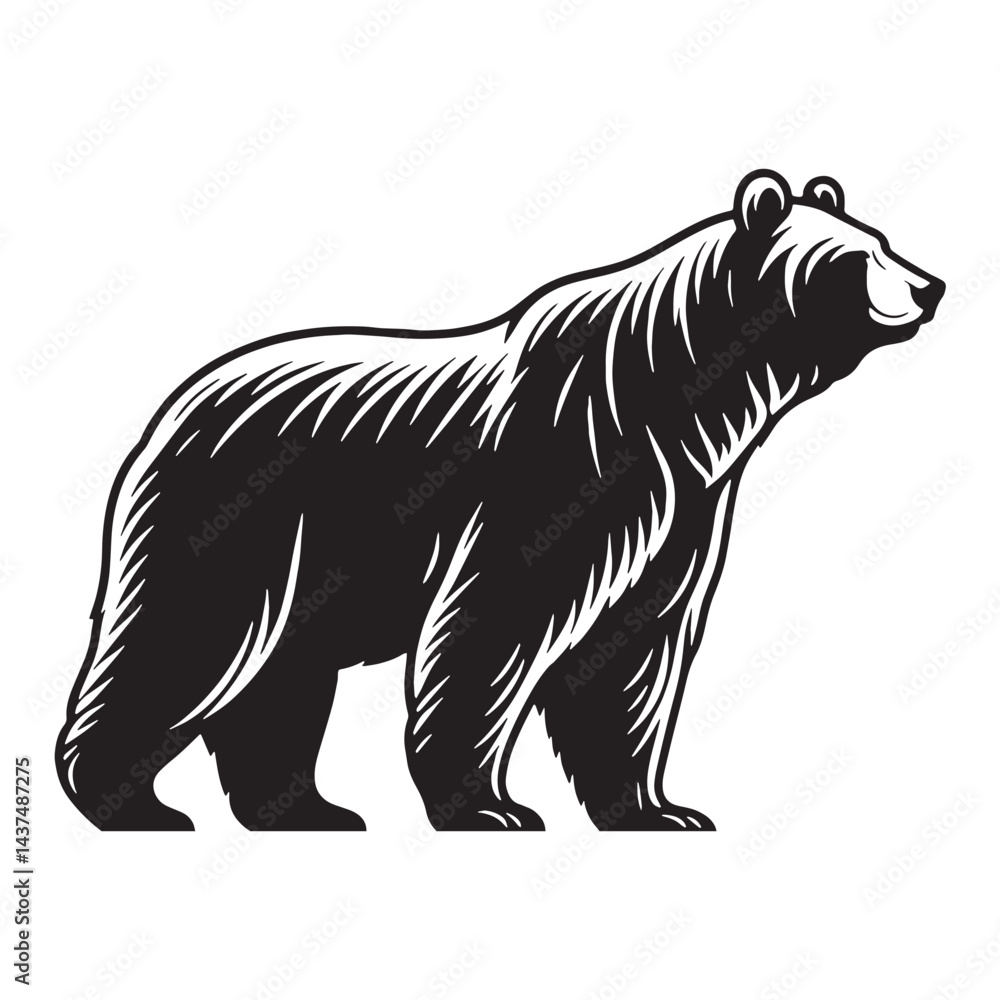 Fototapeta premium Structured bear silhouette vector perfect for organized graphic layouts – bear silhouette – bear vector – bear illustration – silhouette of bear