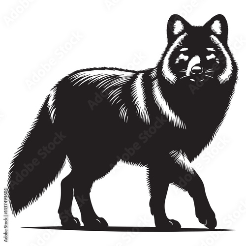 Stylized dhole silhouette vector designed for distinctive brand assets – dhole silhouette – dhole vector – dhole illustration – silhouette of dhole

