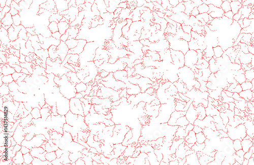 Wallpaper Mural new allover creation design pattern Torontodigital.ca