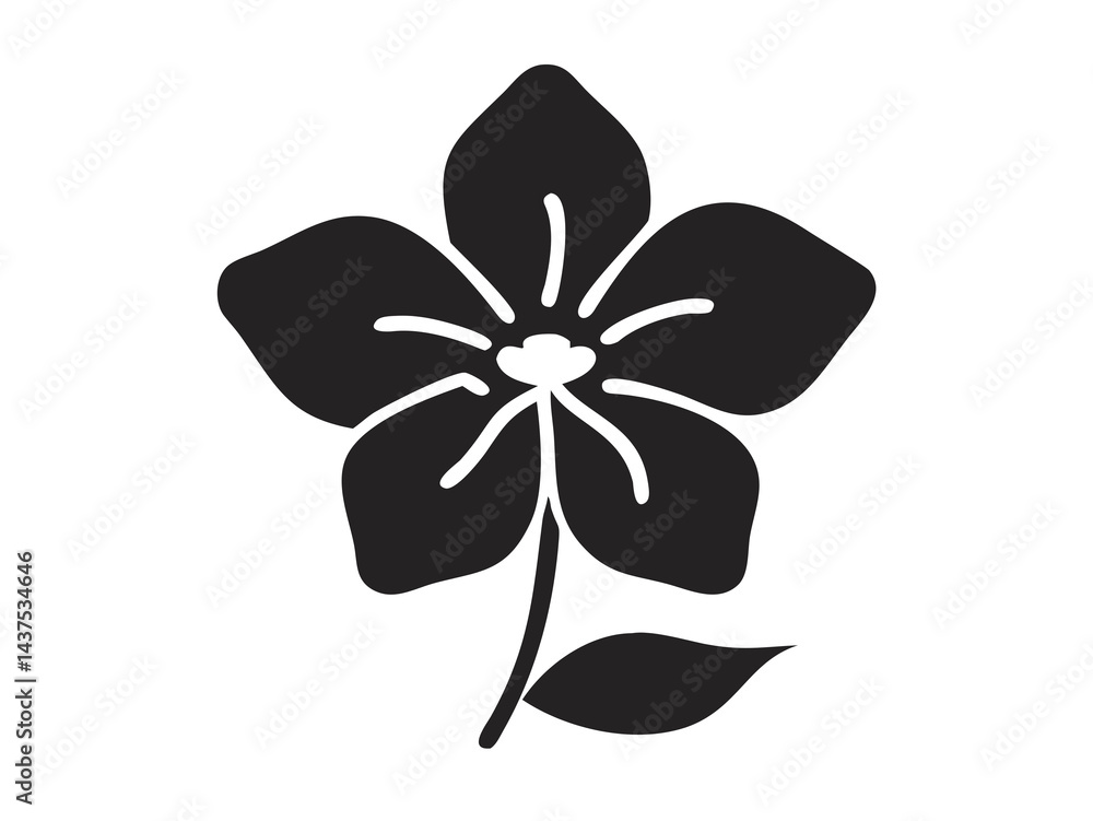 Hellebore Flower for Winter Bouquets, Garden Decor, and Seasonal Styling Hellebore Flower for Winter Bouquets, Garden Decor, and Seasonal Styling