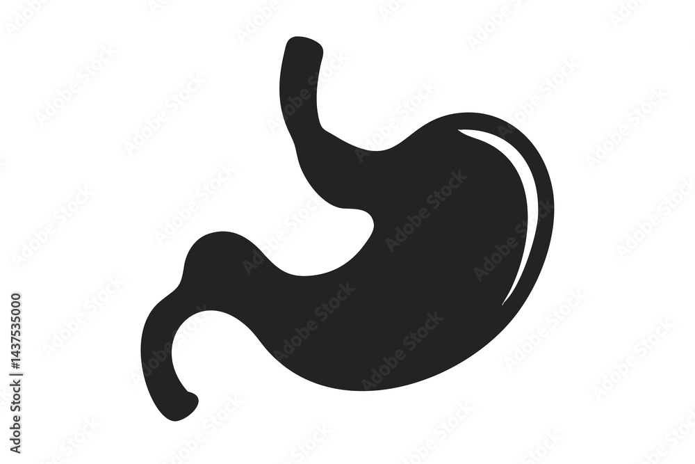 Human Stomach Silhouette for Medical Graphics, Health Illustrations, and Anatomy Art Human Stomach Silhouette for Medical Graphics, Health Illustrations, and Anatomy Art