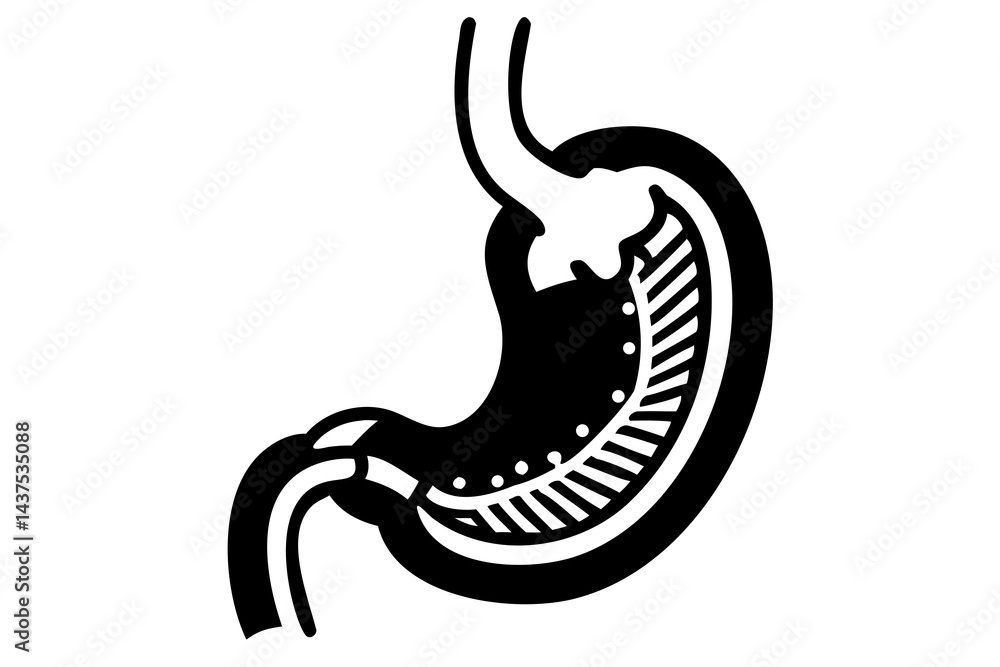 Human Stomach Silhouette for Medical Graphics, Health Illustrations, and Anatomy Art Human Stomach Silhouette for Medical Graphics, Health Illustrations, and Anatomy Art