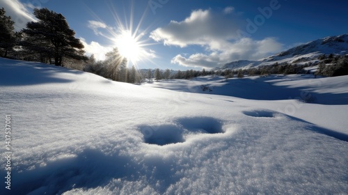Wallpaper Mural Snowy alpine landscape, sunlit.  Vast expanse of pristine snow, with footprints.  Clear blue sky with sunbeams.  Pine trees in the distance Torontodigital.ca