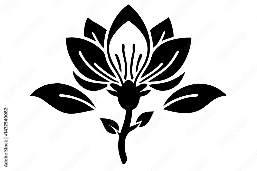 Fototapeta premium Magnolia Flower Illustration, Elegant Magnolia Blossom Sketch, Beautiful Magnolia Bloom Drawing, PNG Transparent