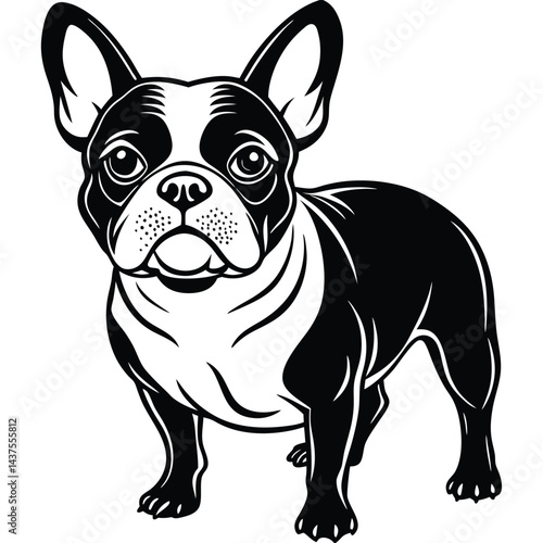 Bulldog vector silhouette, Vector illustration silhouette of a dog on a white background.